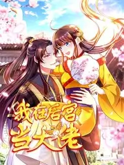 深夜书房文化访谈综艺在线观看